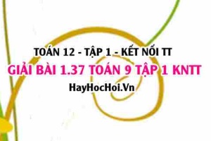 Giải 1.37 Toán 12 tập 1 SGK Kết nối tri thức